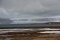 Spitzbergen-236