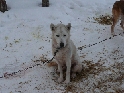 Kiruna-Uw030