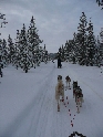 Kiruna-Uw062