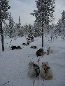 Kiruna-Uw064