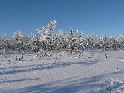 Kiruna-Uw092
