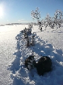 Kiruna-Uw095