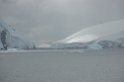 Antarctica-495