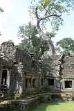 Indochina-0988