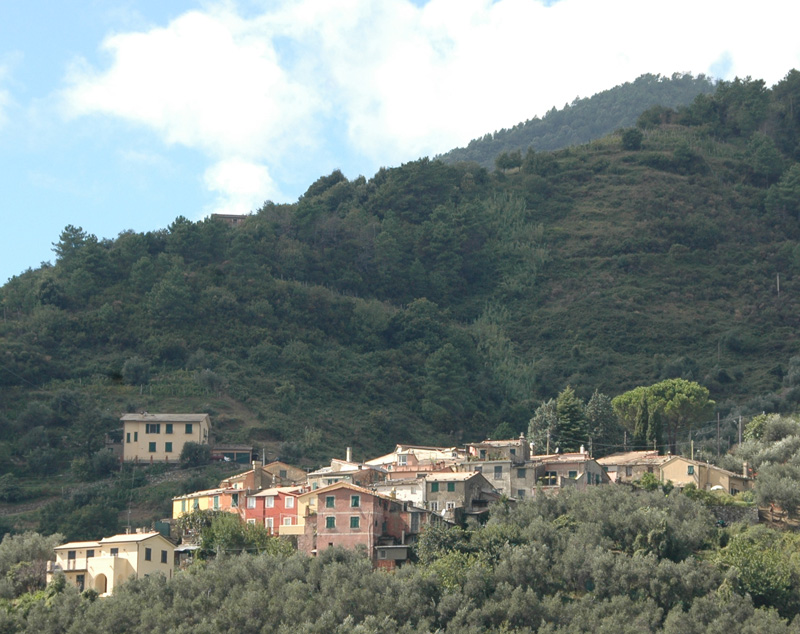 kleines Dorf in der Cinque Terre